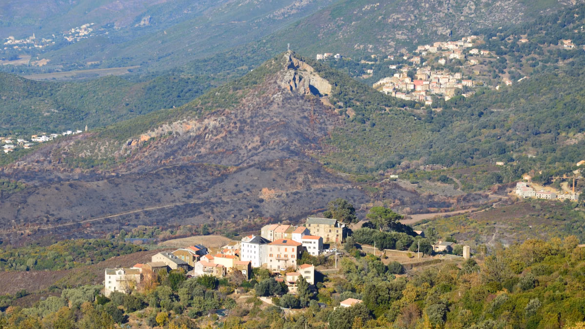 Saint Pierre d'Alcantara
