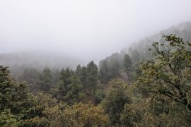 Que voir à Niebla, Huelva