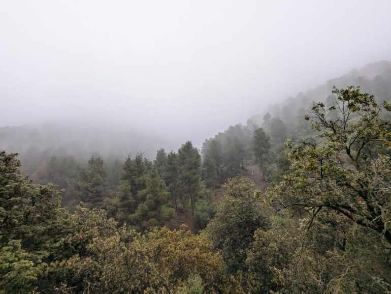 Que voir à Niebla, Huelva