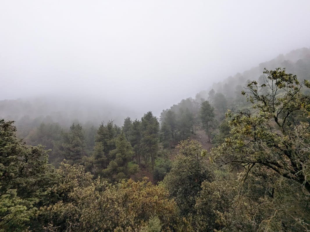 Que voir à Niebla, Huelva